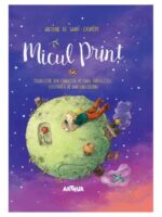 Micul Print | ilustrata de Dan Ungureanu