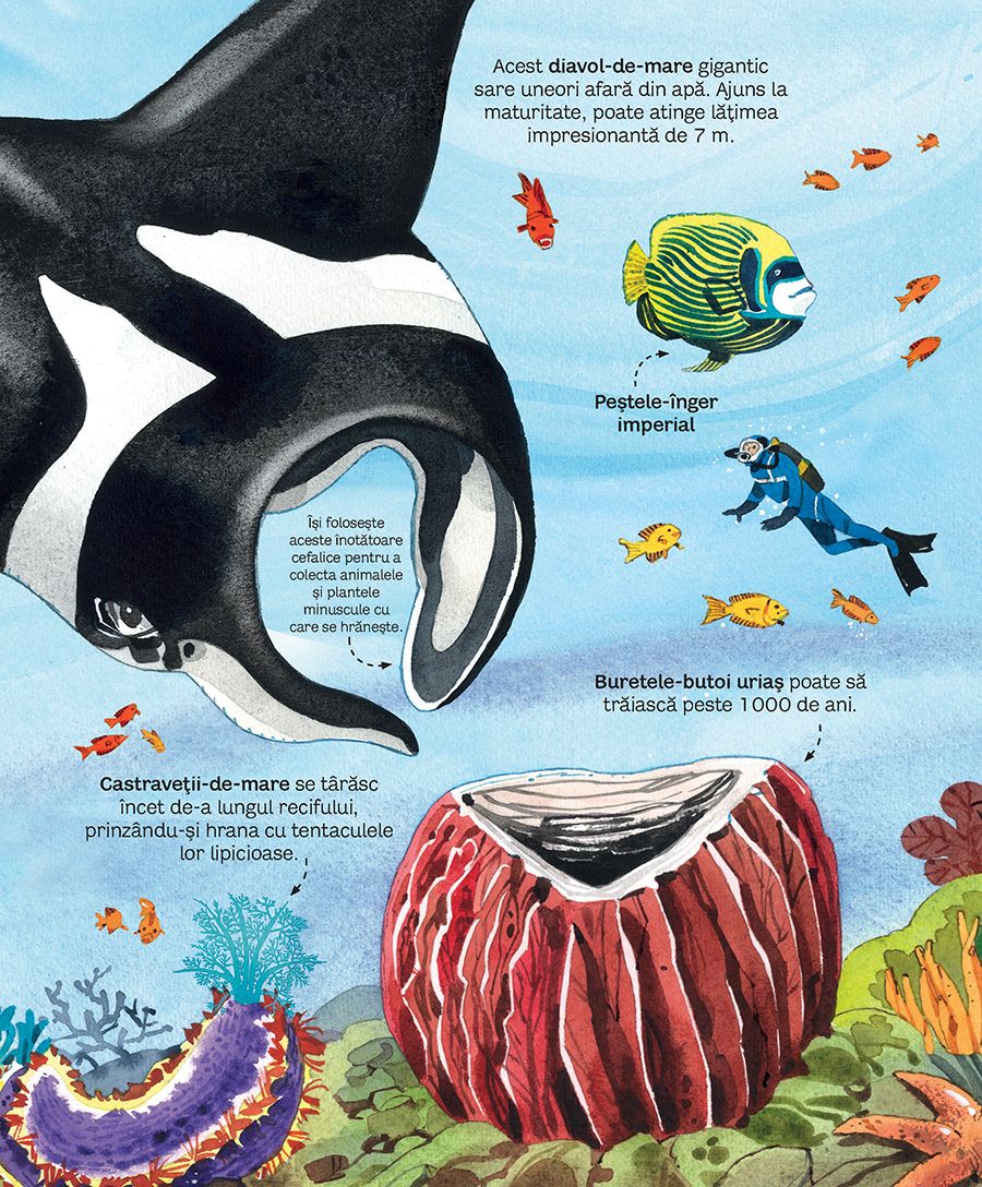 Marea carte a animalelor din mari si oceane (Usborne)